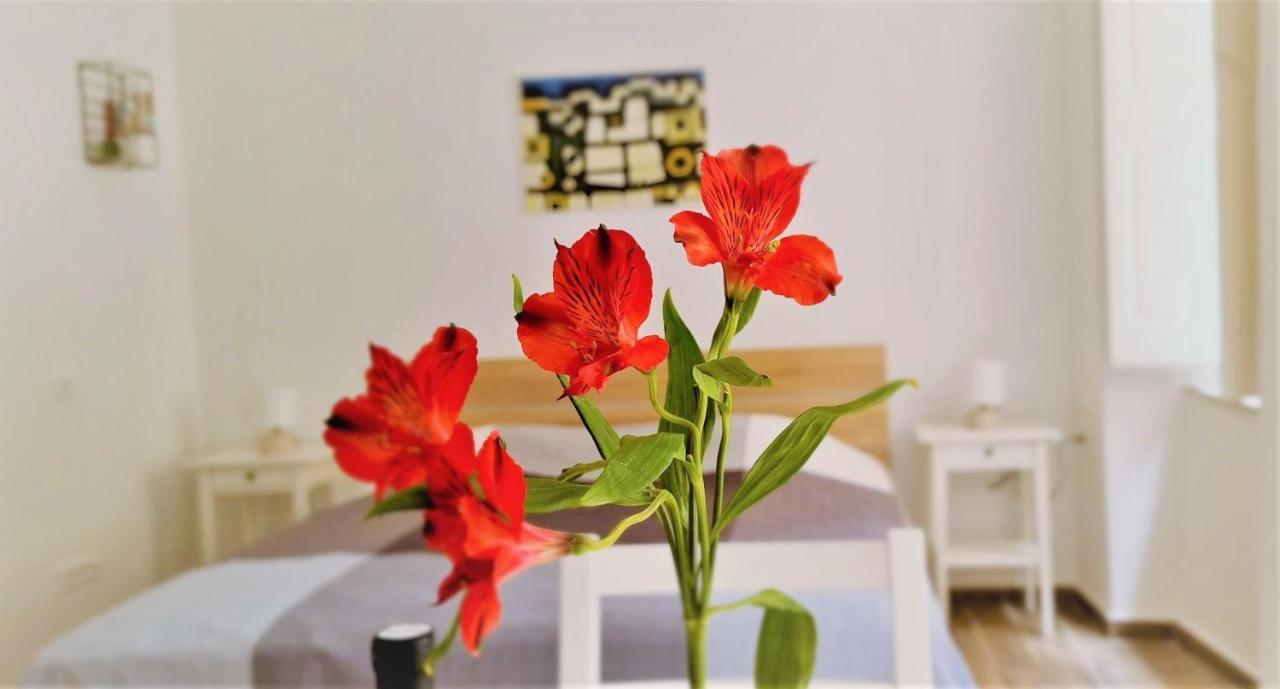Prijeko Relax Apartment 杜布罗夫尼克 外观 照片